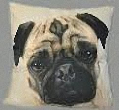 Mops